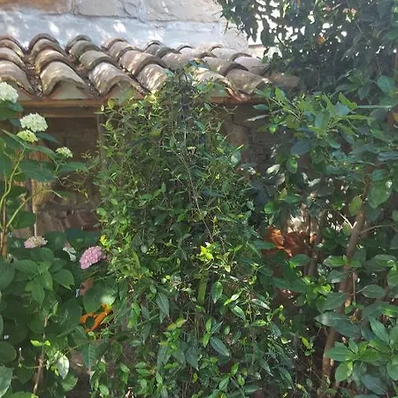 Počitniška hiša Istrian Stone House Secovlje