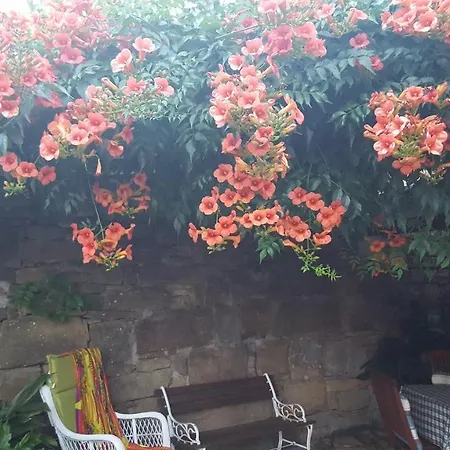 Istrian Stone House Počitniška hiša