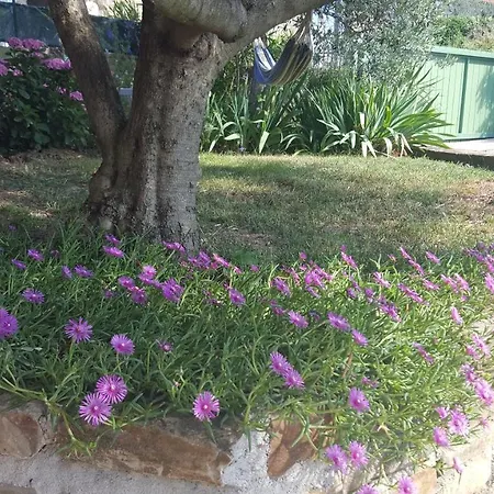 Istrian Stone House Počitniška hiša Secovlje