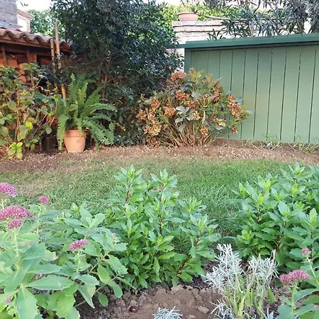 Počitniška hiša Istrian Stone House Secovlje