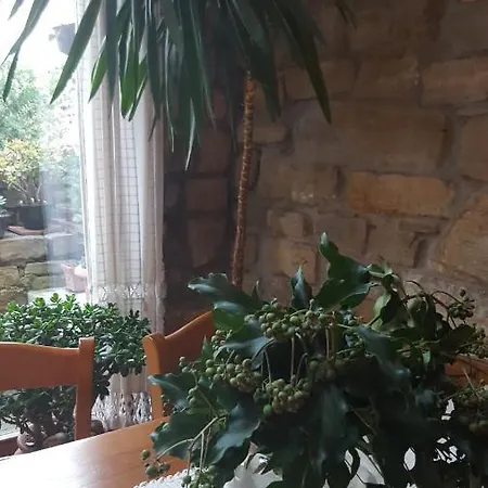 Istrian Stone House Secovlje