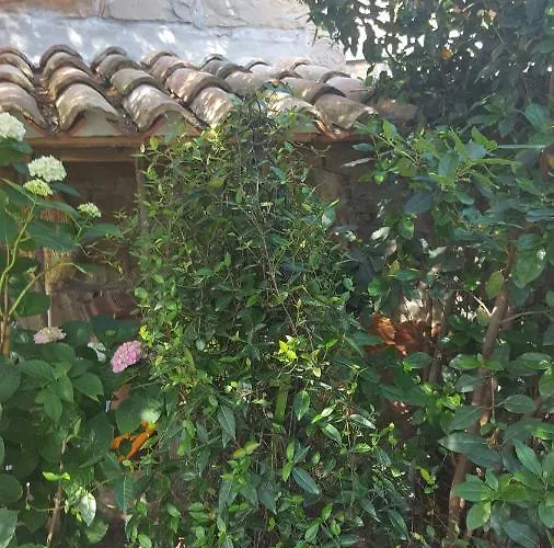 Σπίτι διακοπών Istrian Stone House Sečovlje