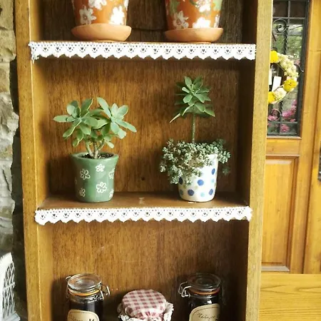 Holiday home Istrian Stone House