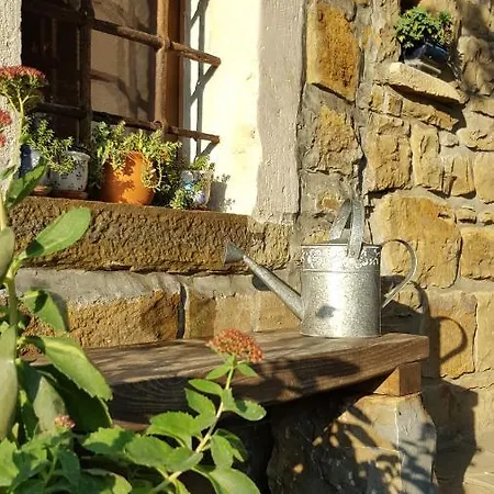 Holiday home Istrian Stone House Secovlje