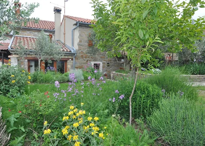 Istrian Stone House 度假居