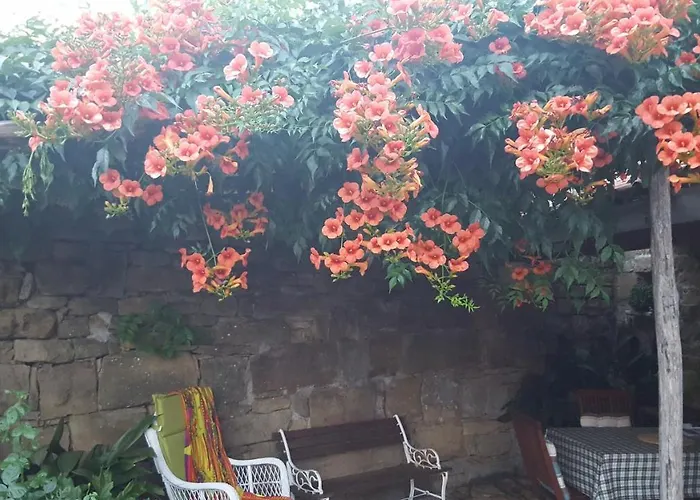 Istrian Stone House 度假居