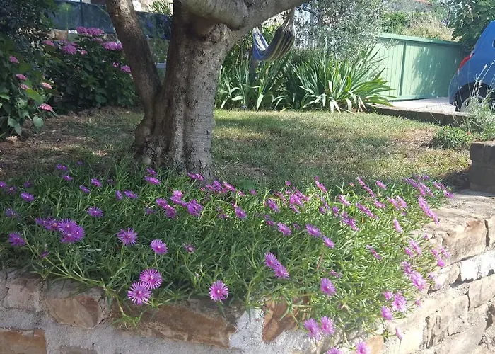 Istrian Stone House 度假居 Sečovlje