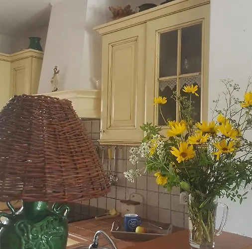 Istrian Stone House 度假居